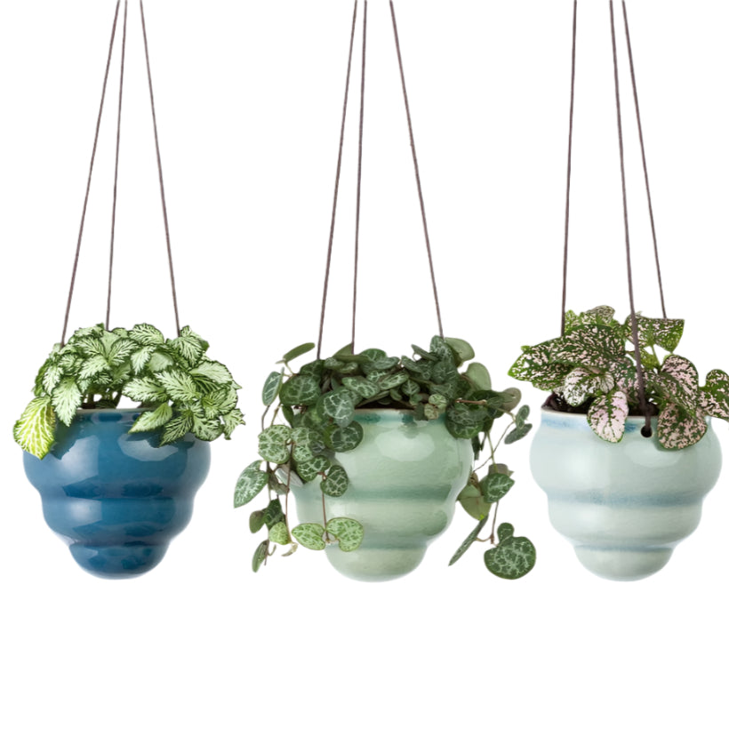 Hanging Pot Trio - Baby Bombini