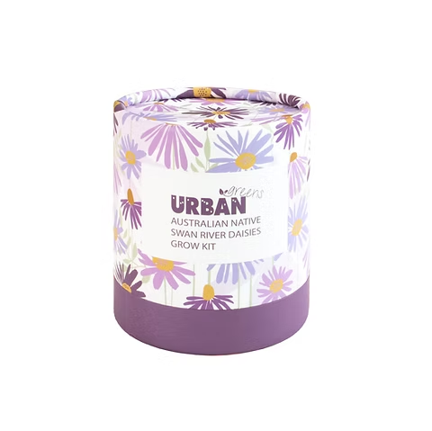 Australian Natives Grow Kit - Swan River Daisies