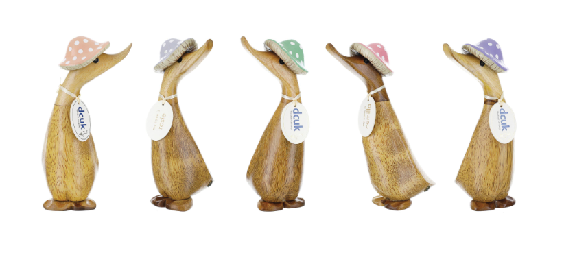 Duckling - Toadstool Hat