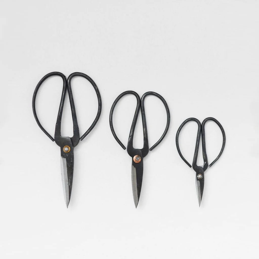 Herb Scissors Set of 3