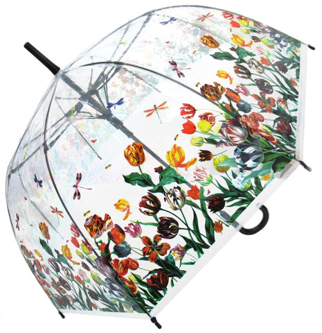 Transparent Umbrella
