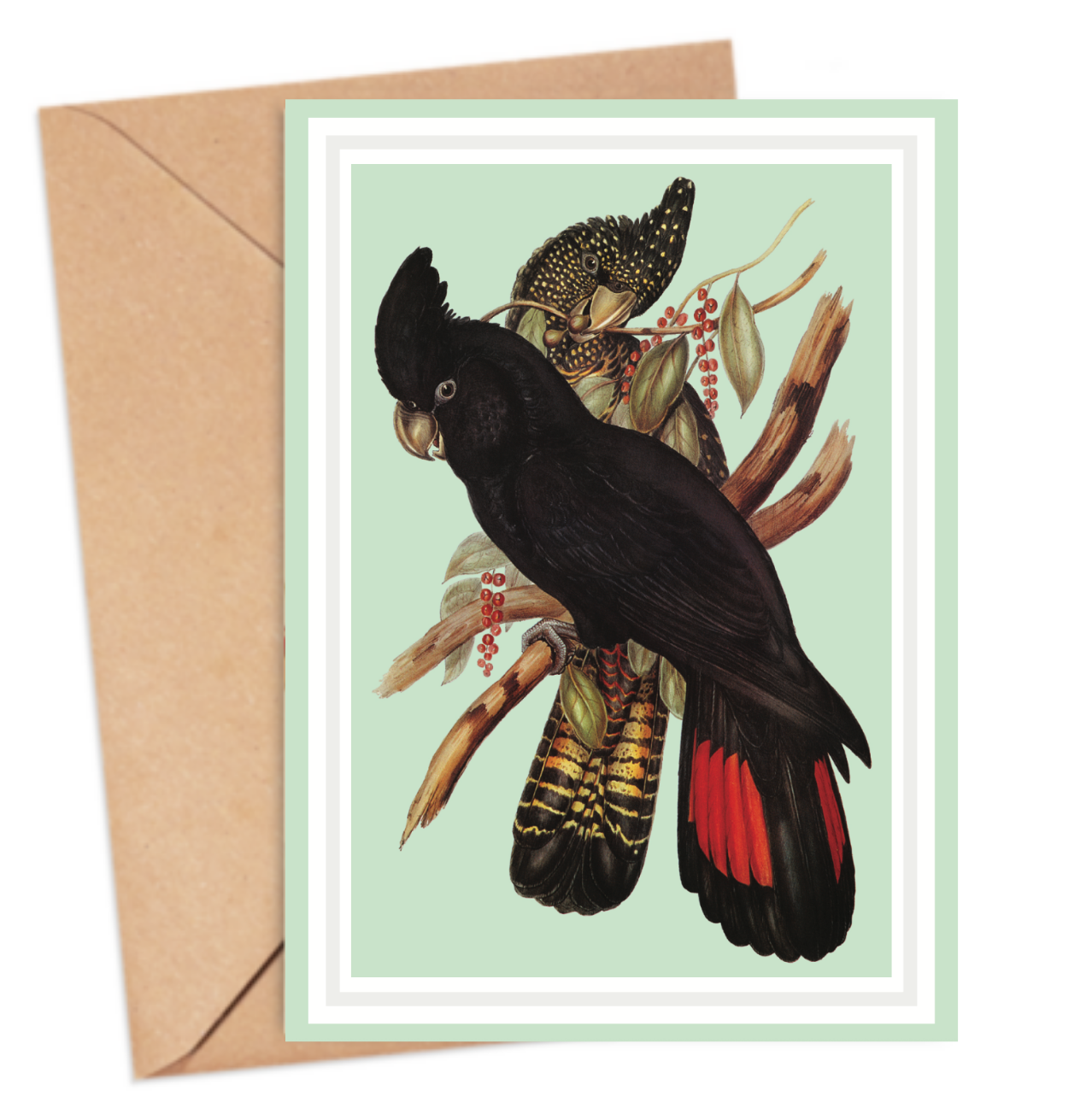Black Cockatoo Card