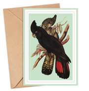 Black Cockatoo Card