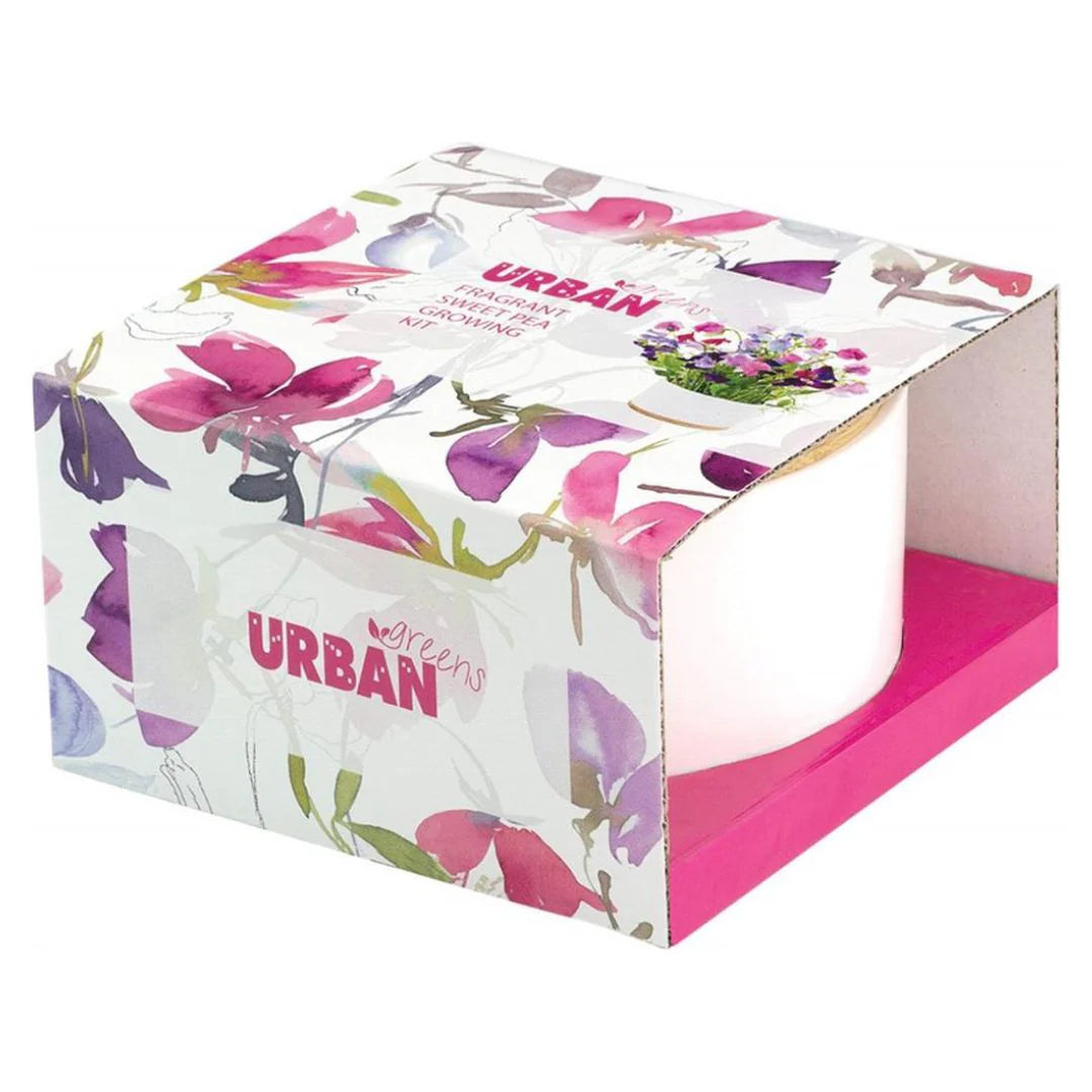 Fragrant Sweet Pea Growing Kit