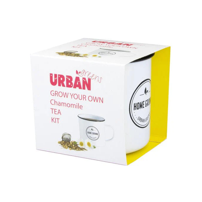Grow Your Own Tea Kit - Chamomile