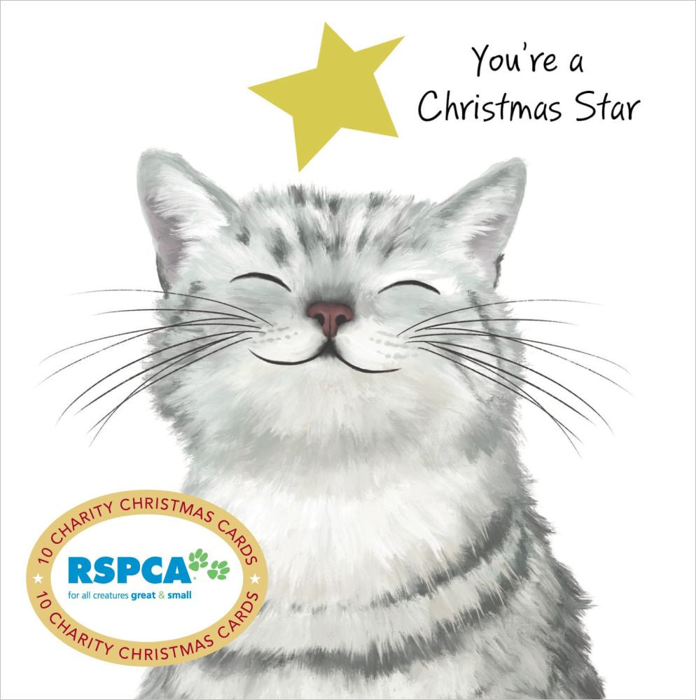 Christmas Cards Set of 10 - Christmas Star