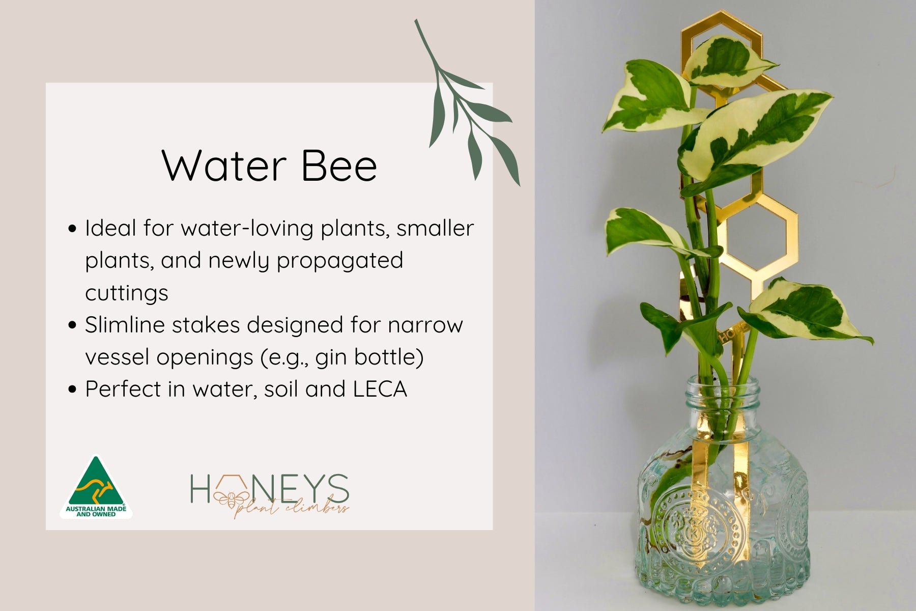 Water Bee Plant Climber - White