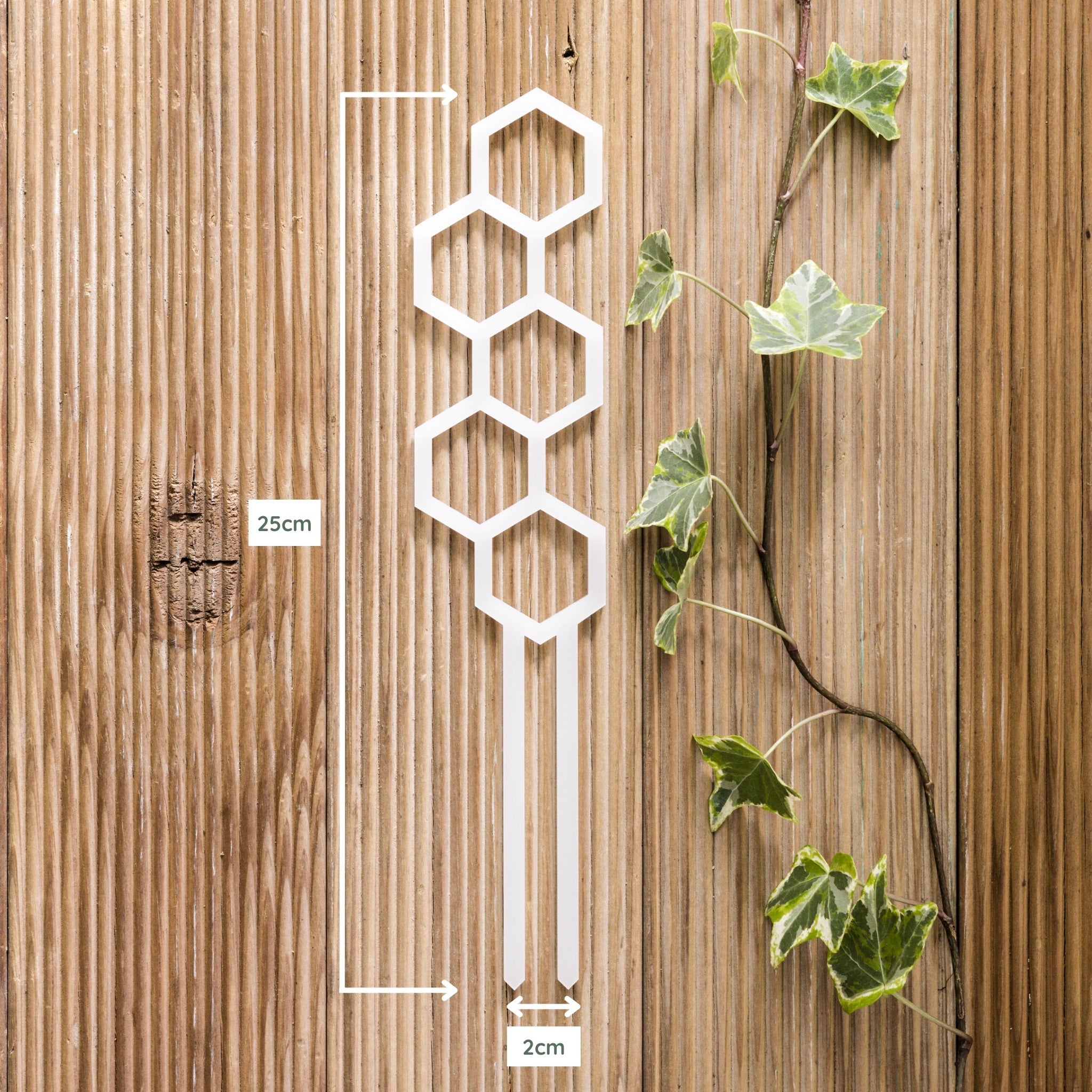 Water Bee Plant Climber - White