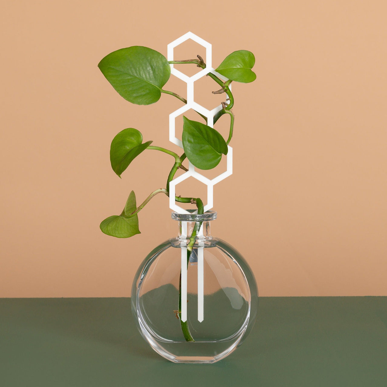 Water Bee Plant Climber - White