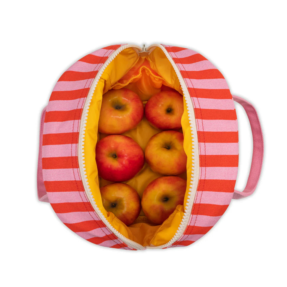 Zipper Lunch Bag - Awning Stripe