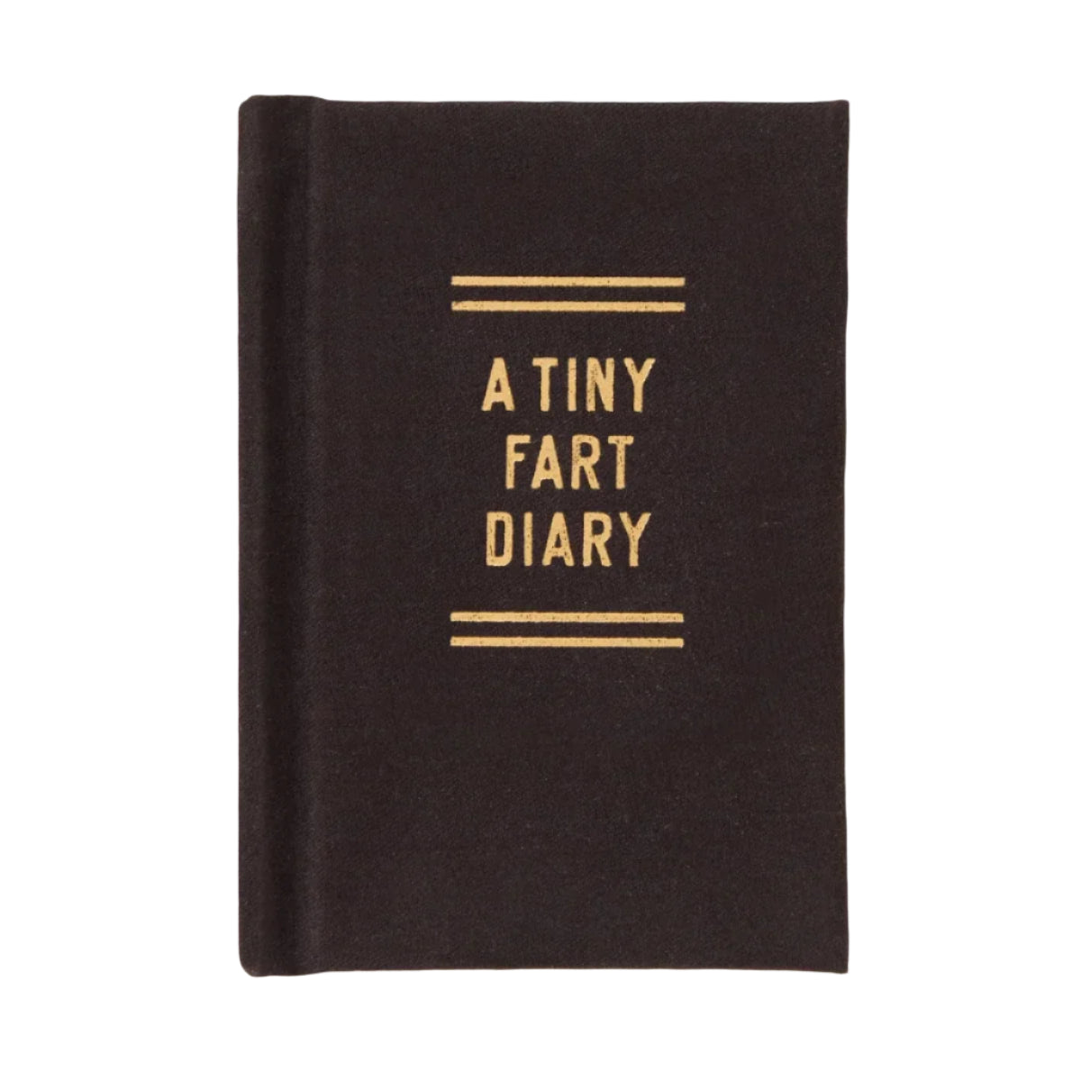 Tiny Books - A Tiny Fart Diary