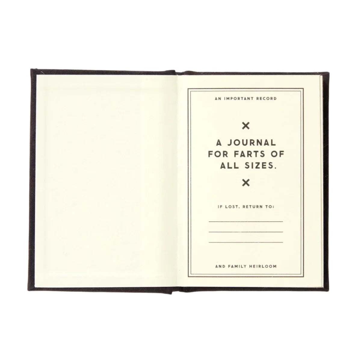 Tiny Books - A Tiny Fart Diary