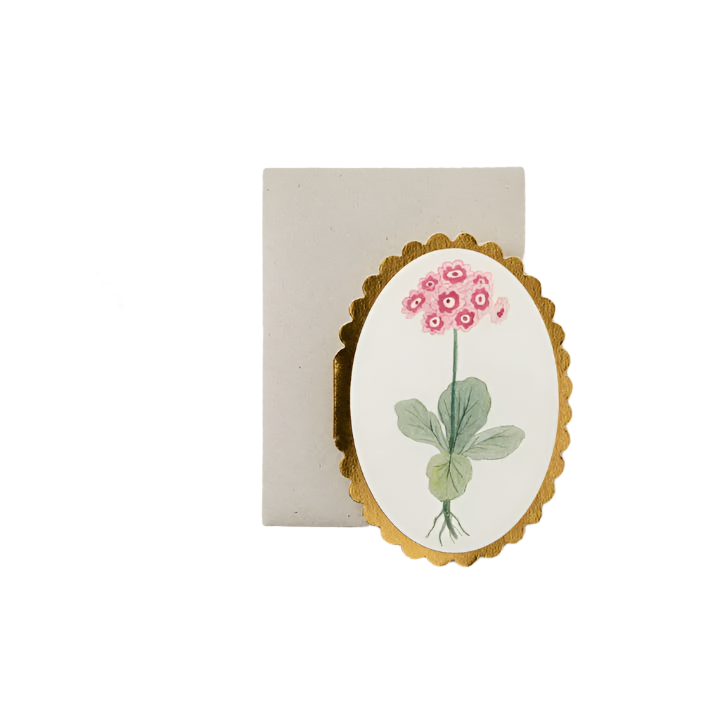 Auricula Mini Card