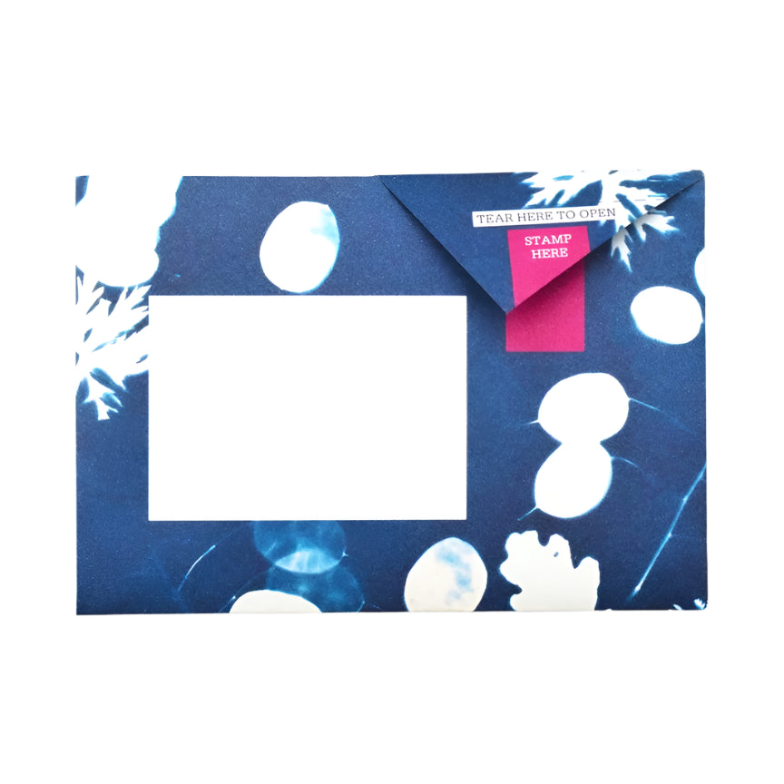 Pigeon Letter Pack - Apothecary