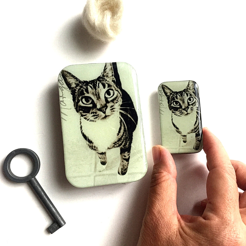 Notions Tin Large - Cat