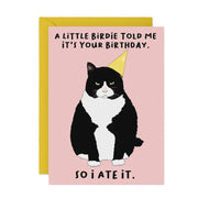 A Little Birdie Cat Card