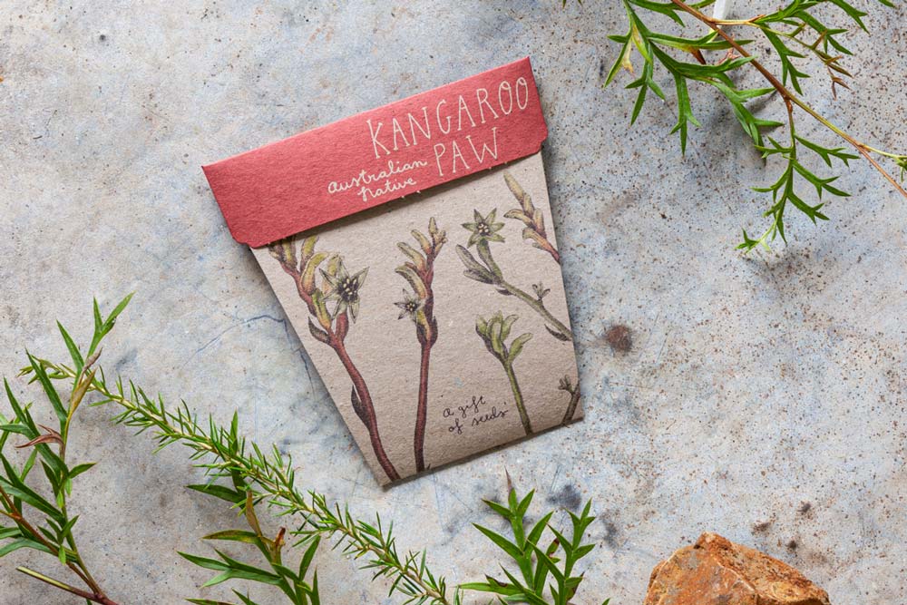 Gift of Seeds - Kangaroo Paw