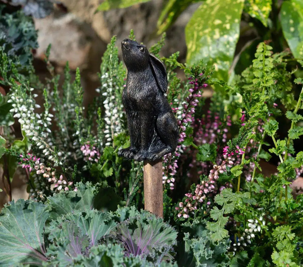 Cane Companion - Moongazing Hare
