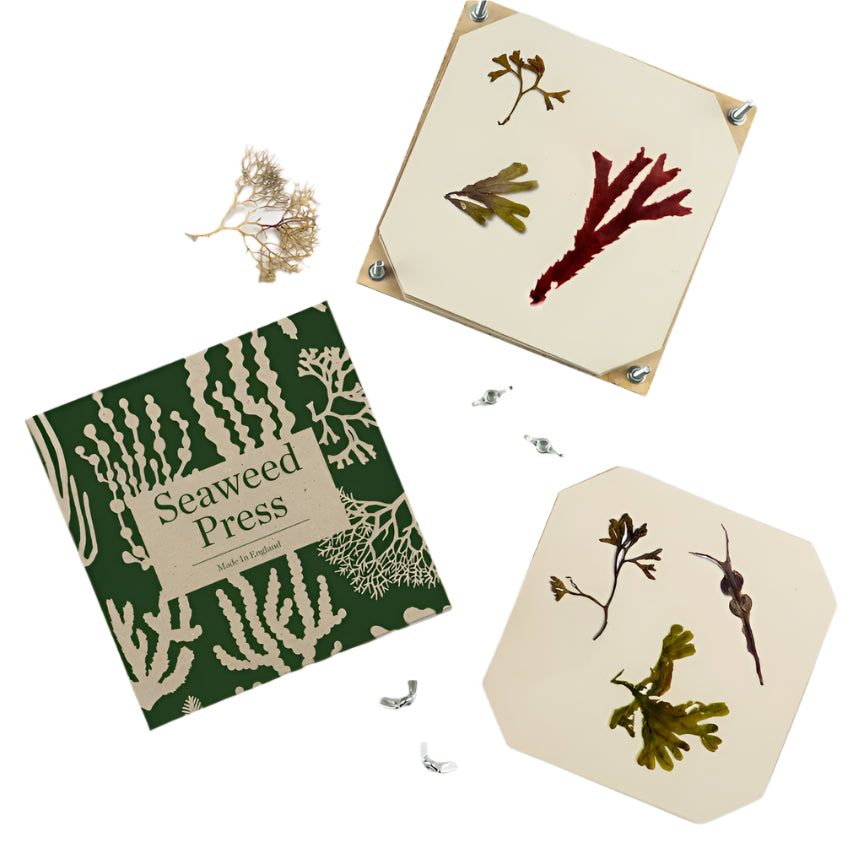 Seaweed Press Kit