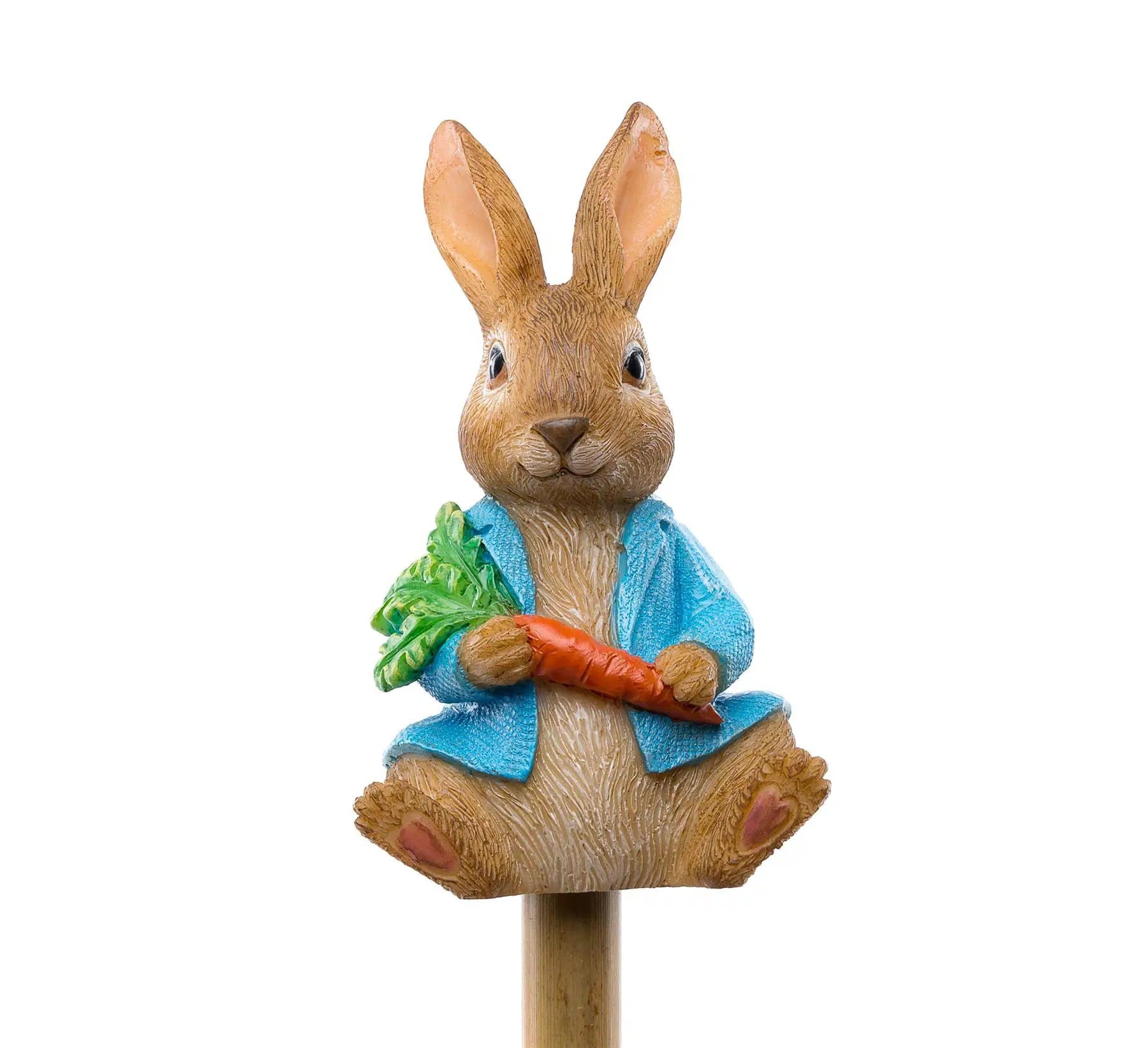 Cane Companion - Peter Rabbit