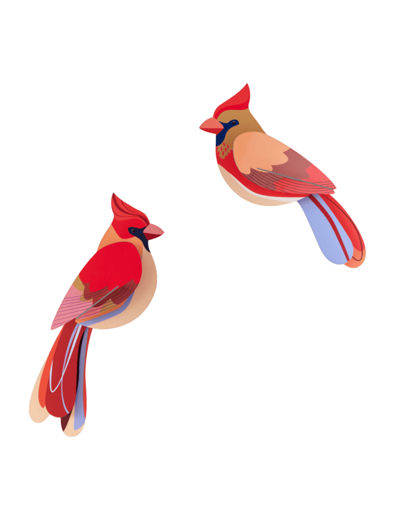 Cardboard Wall Art Garden Bird Duo - Cardinals