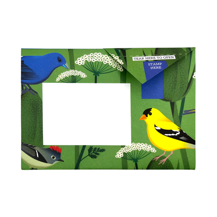 Pigeon Letter Pack - Carnival  Of Colour