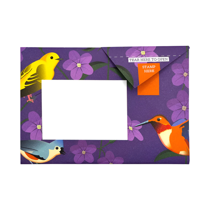 Pigeon Letter Pack - Carnival  Of Colour