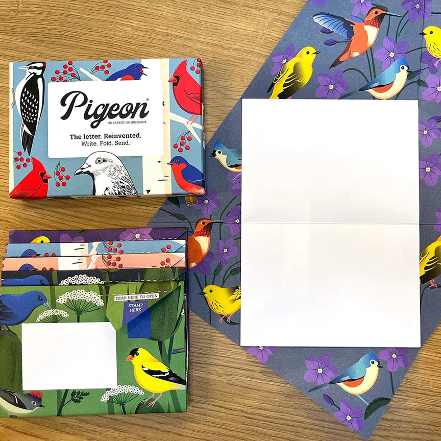 Pigeon Letter Pack - Carnival  Of Colour