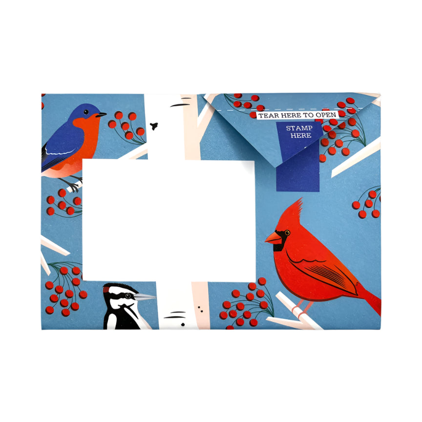 Pigeon Letter Pack - Carnival  Of Colour
