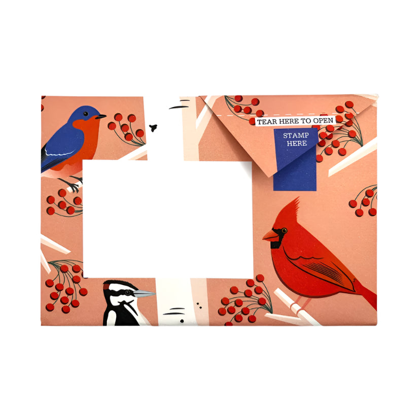 Pigeon Letter Pack - Carnival  Of Colour