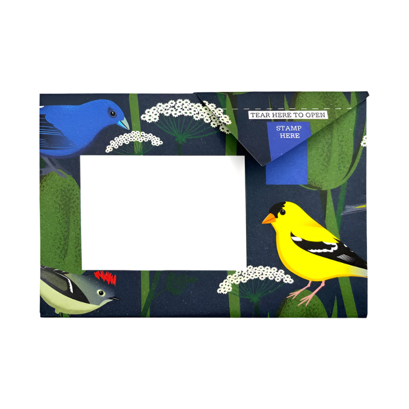 Pigeon Letter Pack - Carnival  Of Colour