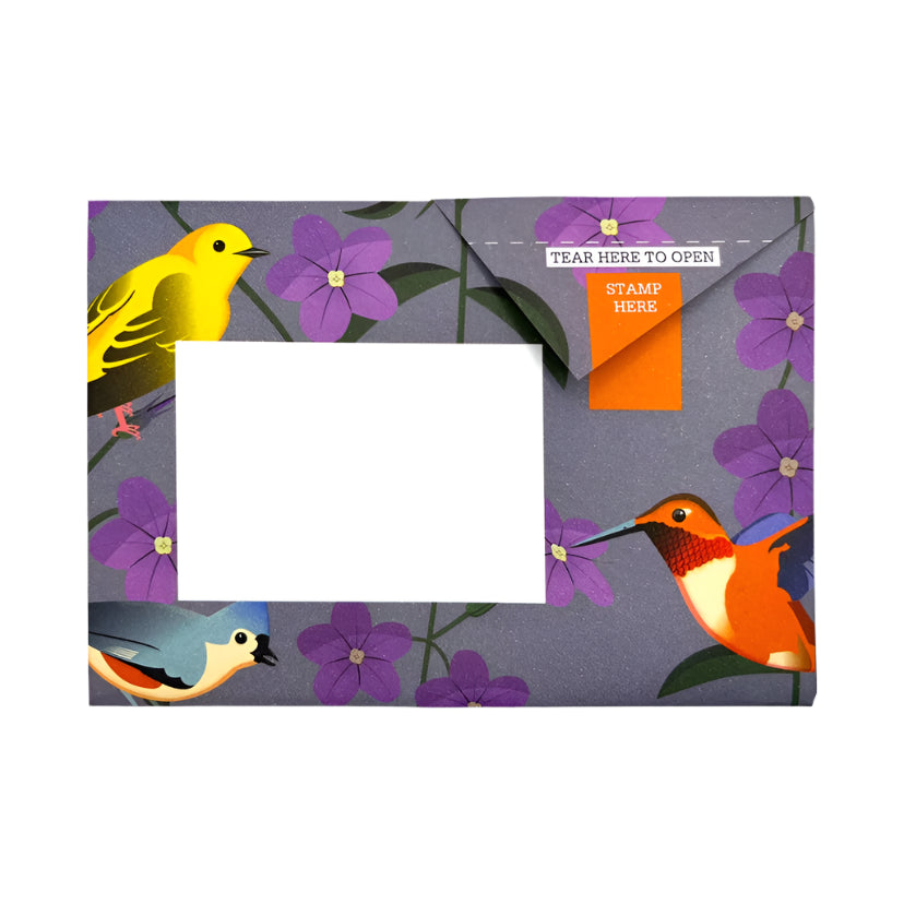 Pigeon Letter Pack - Carnival  Of Colour