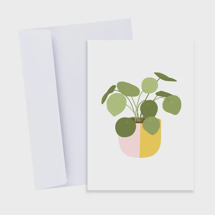 Chinese Money Plant Card