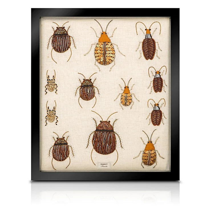 Beaded Beetle from the Cabinet of Curiosity - Large