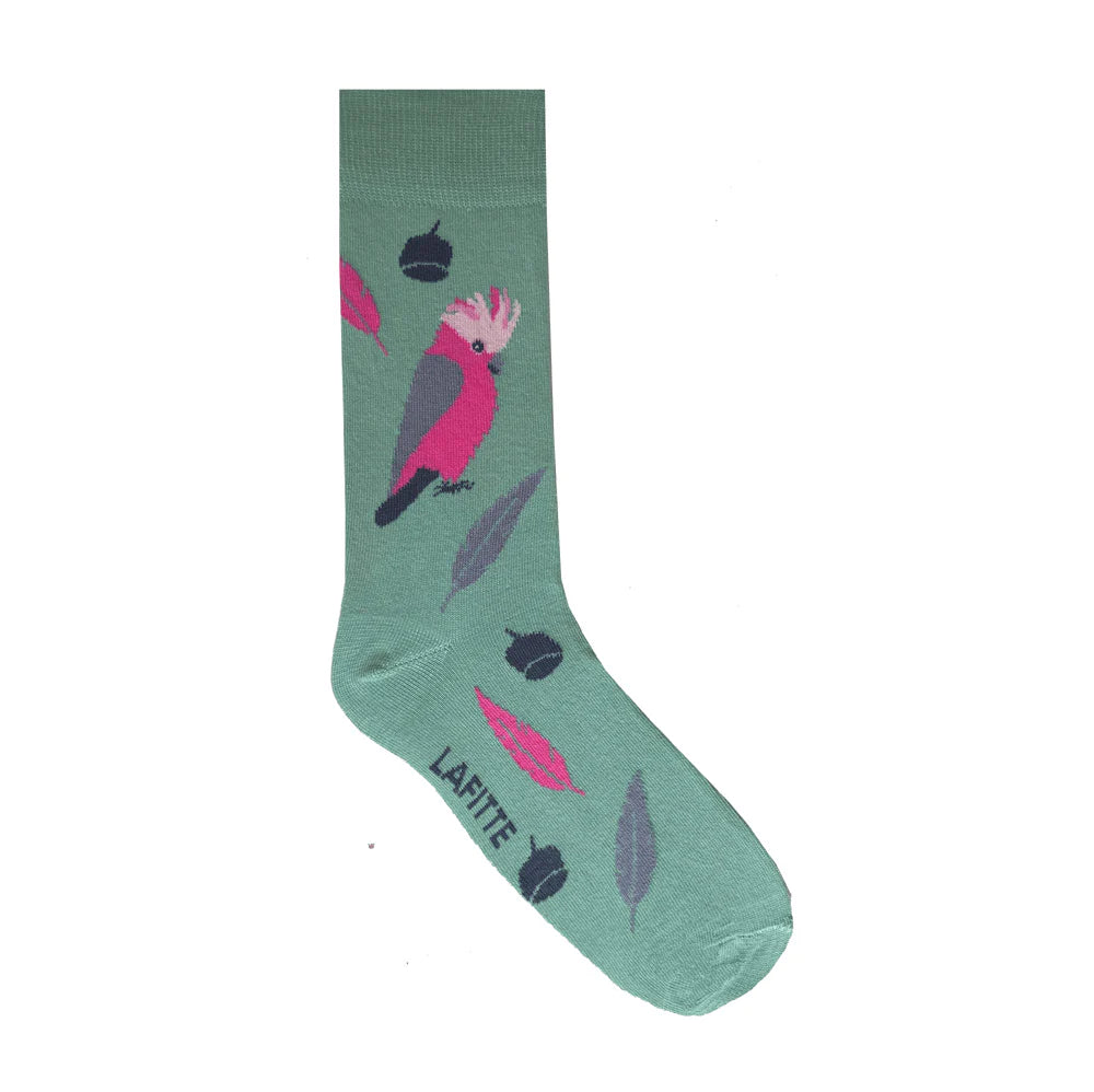Lafitte Socks - Pink Galah (W8-11, M6-10)