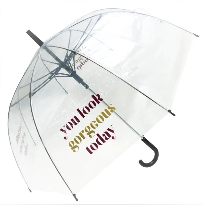 Transparent Umbrella