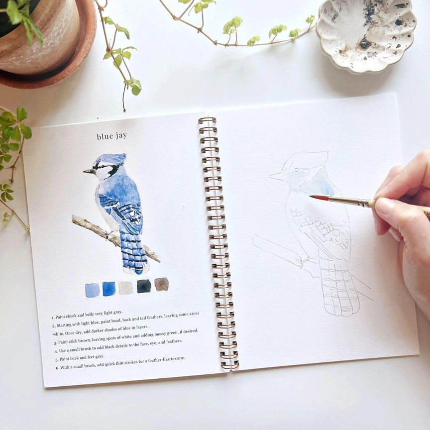 Watercolour Workbook - Birds