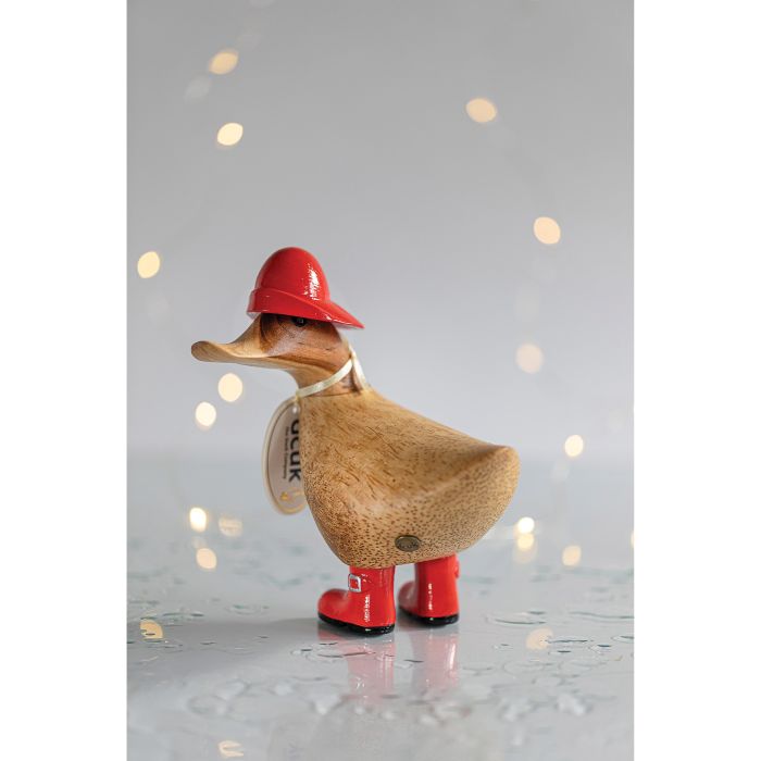 Ducky - Raincoat & Hat