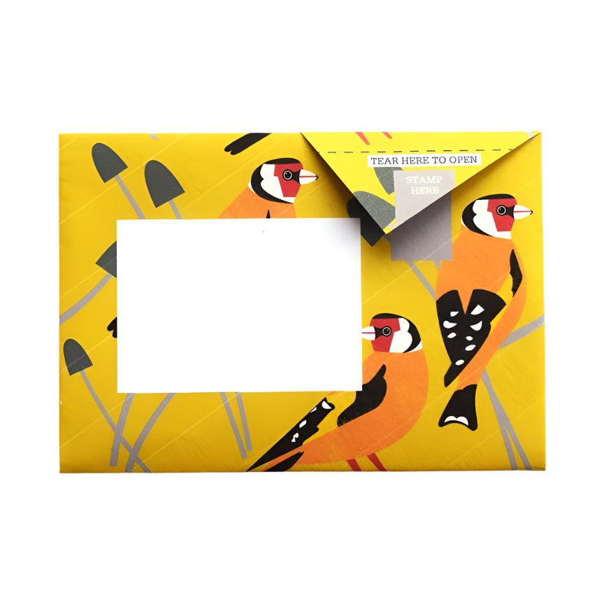Pigeon Letter Pack - Dawn Chorus