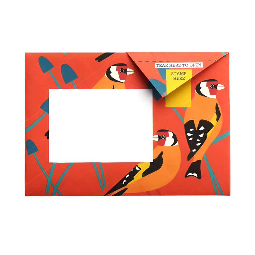 Pigeon Letter Pack - Dawn Chorus