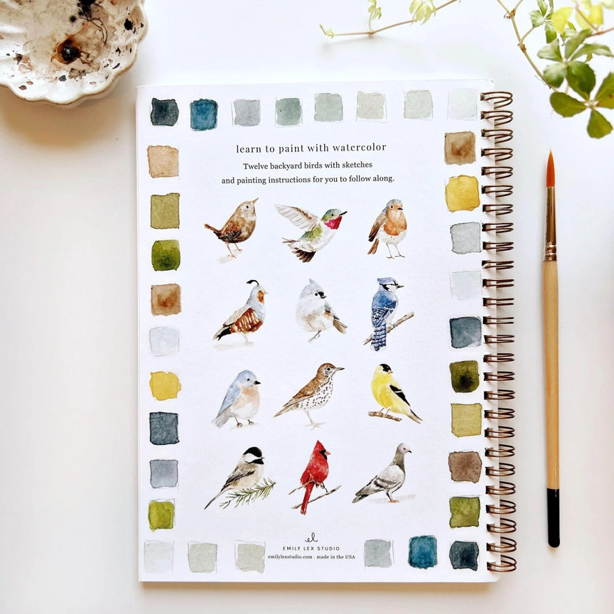 Watercolour Workbook - Birds