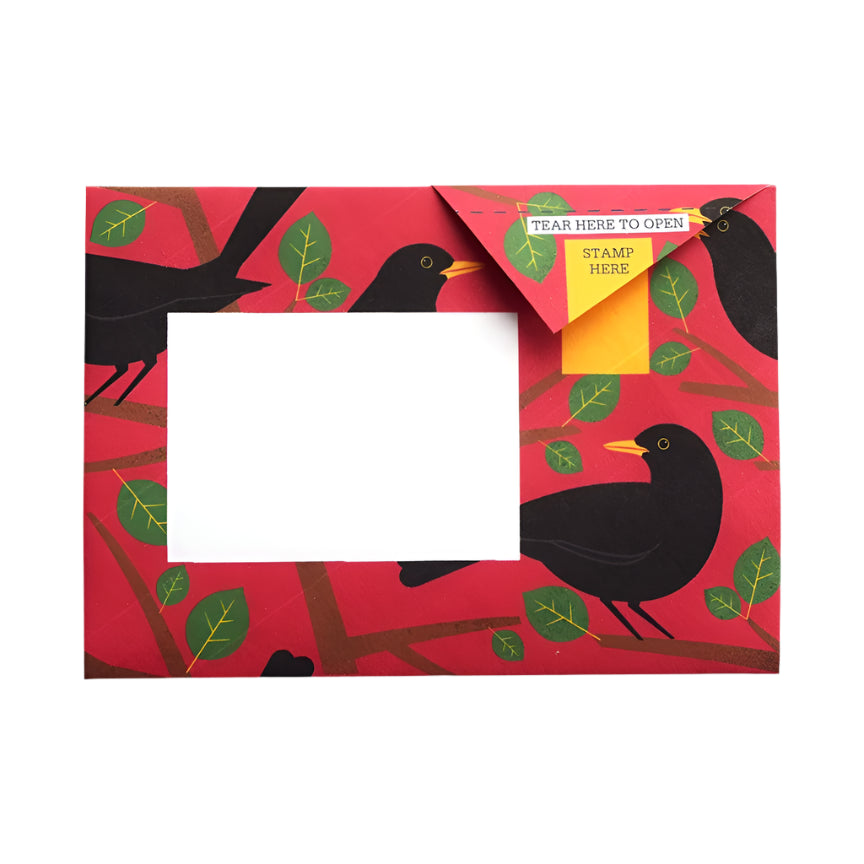 Pigeon Letter Pack - Dawn Chorus
