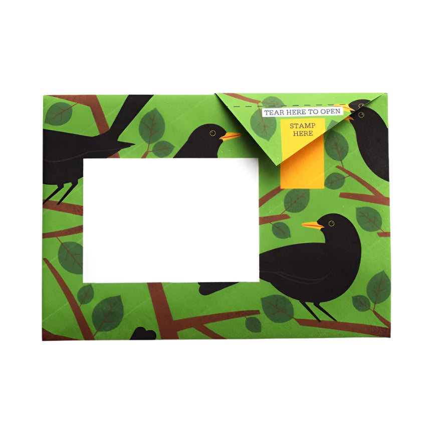 Pigeon Letter Pack - Dawn Chorus