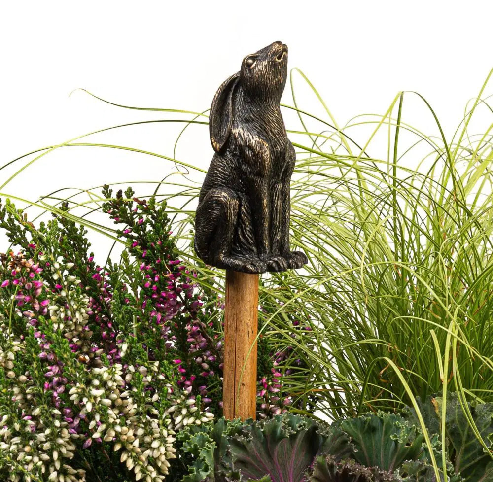 Cane Companion - Moongazing Hare