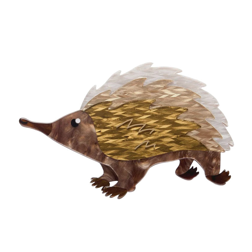 Prickles the Echidna Brooch