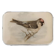Notions Tin Large - Redpoll Bird