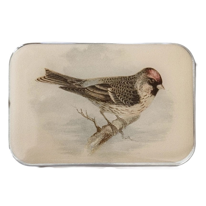 Notions Tin Large - Redpoll Bird