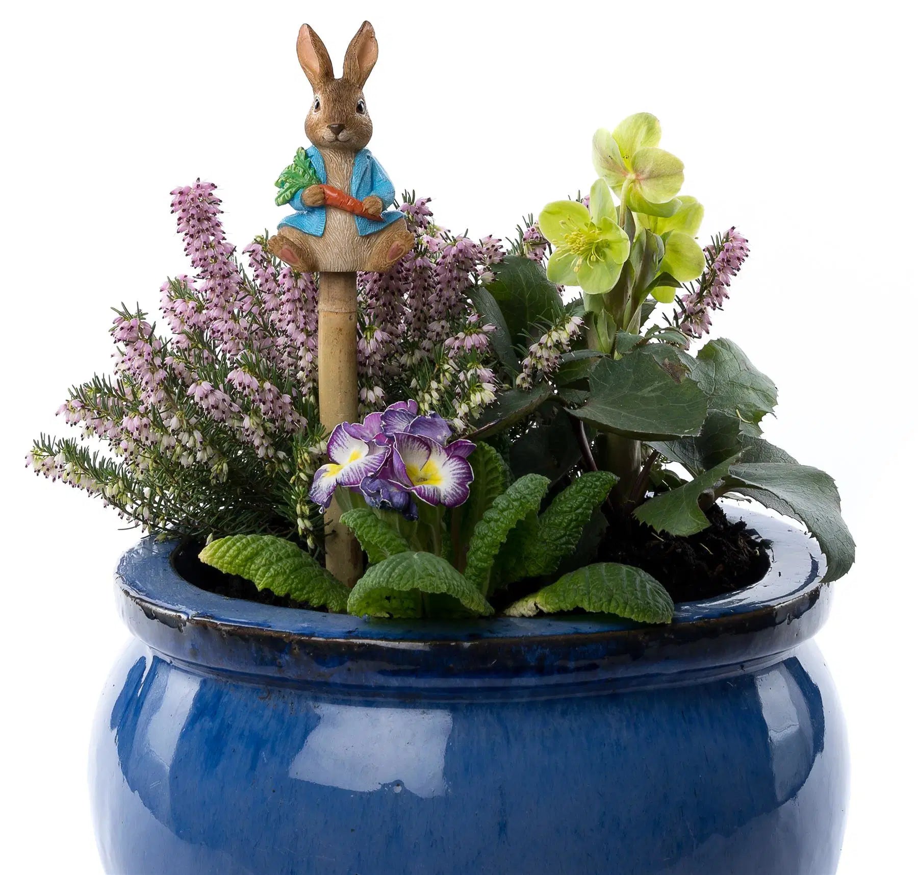 Cane Companion - Peter Rabbit