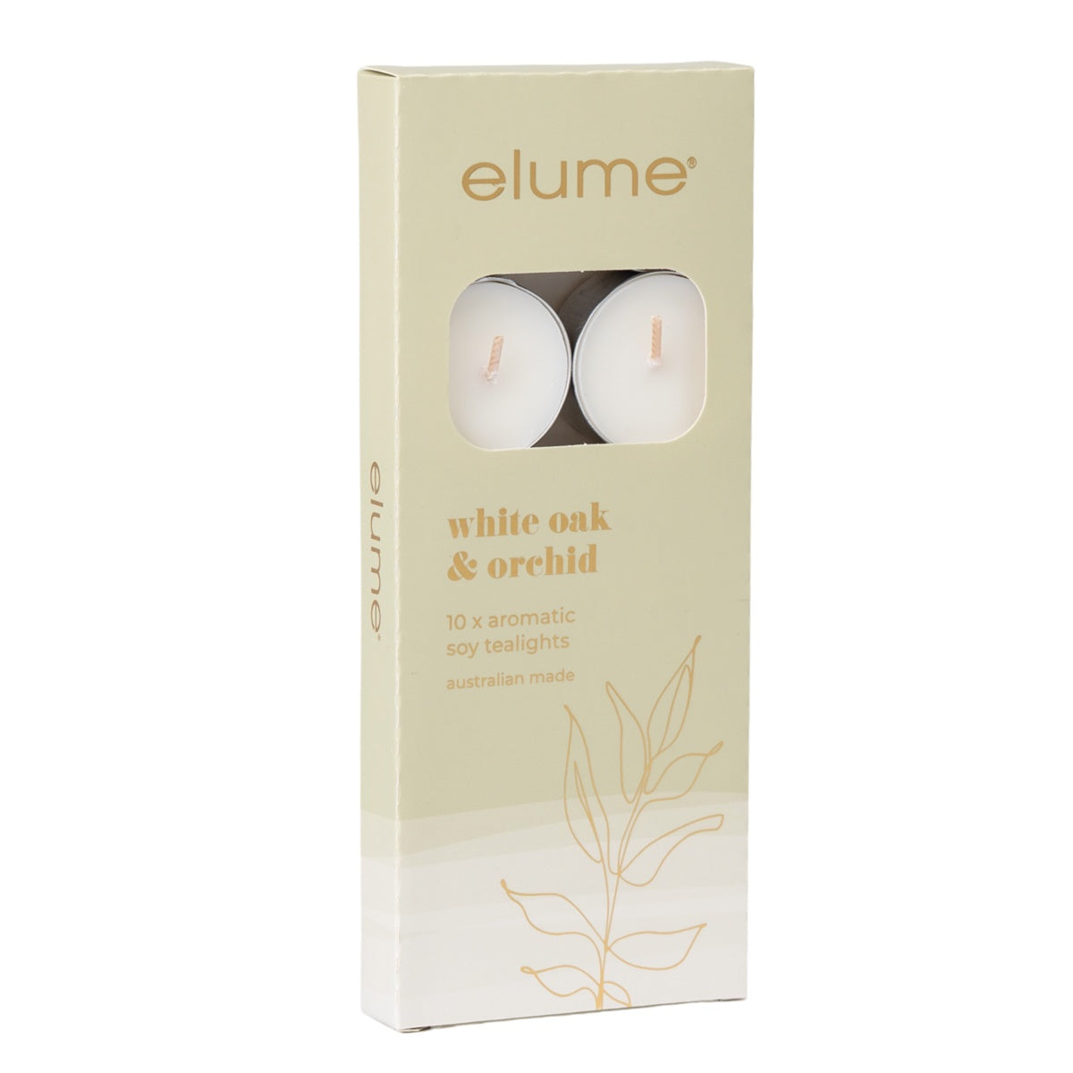 Soy Tealights Set of 10 - White Oak & Orchid Tealights