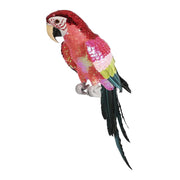 Majestic Stardust Parrot - Large